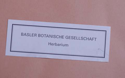 BASBGHerbarium_s0007.jpg